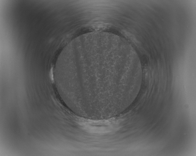 X0000074010042200609061101