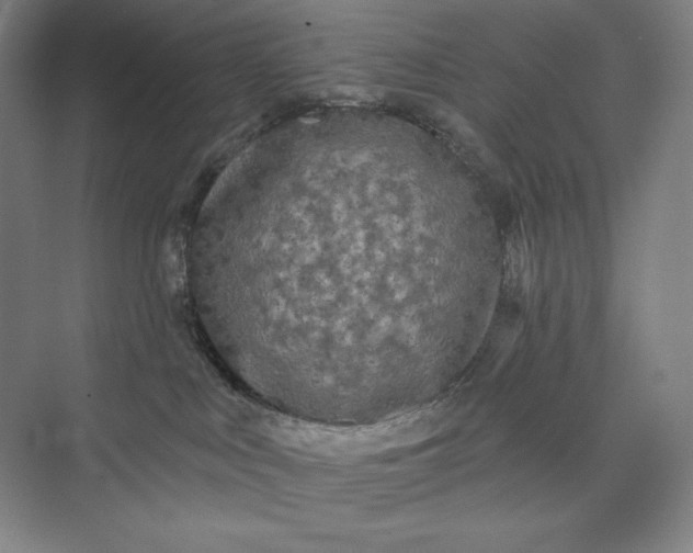 X0000074010043200609061101