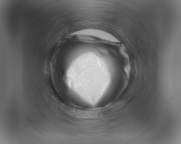 X0000074010044200609061101