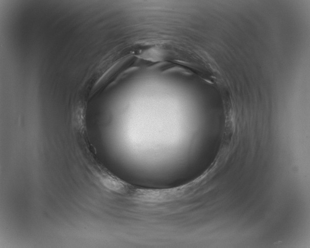 X0000074010045200609061101