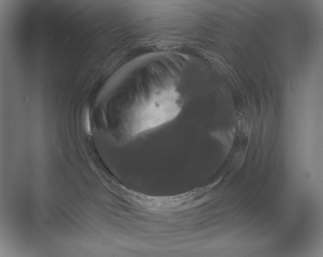 X0000074010046200609061101