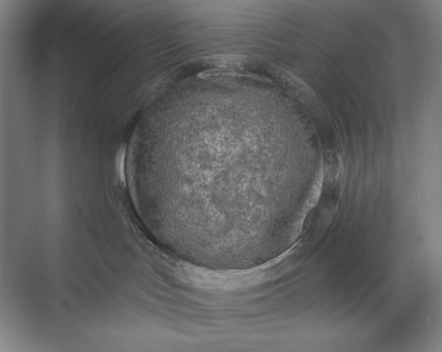 X0000074010047200609061101