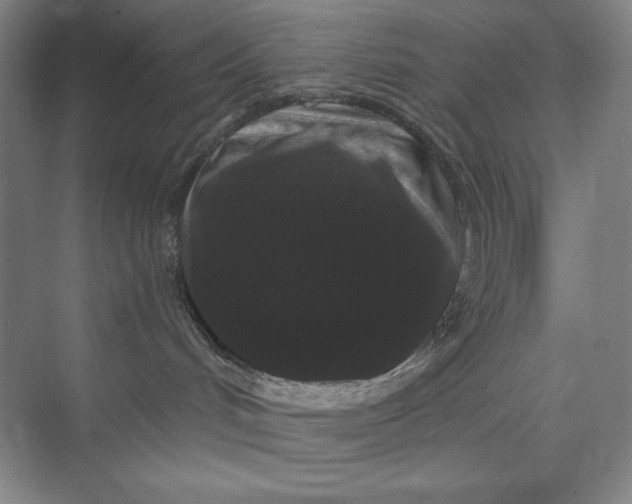 X0000074010048200609061101