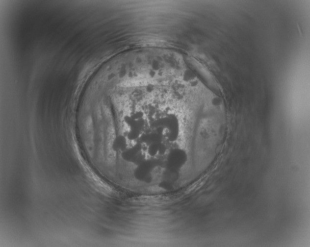 X0000074010049200609061100