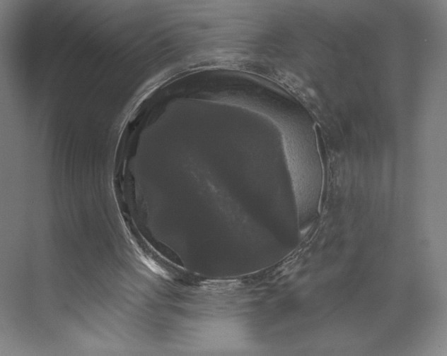 X0000074010051200609061100