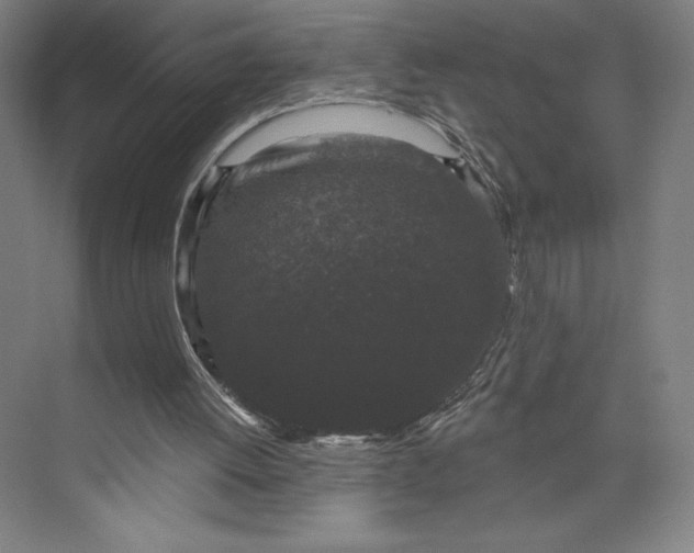 X0000074010052200609061100