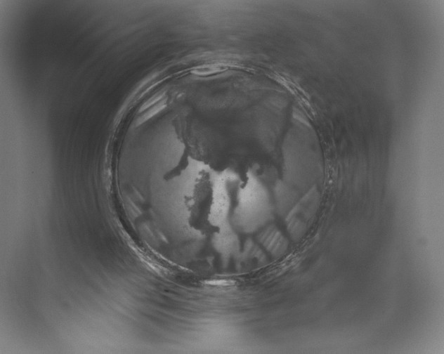 X0000074010053200609061100