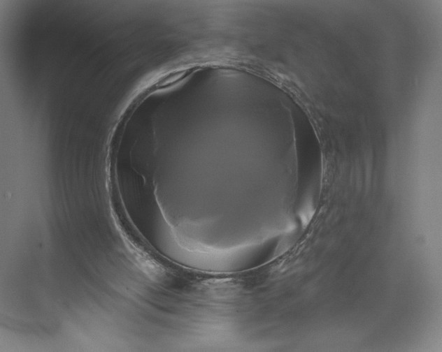 X0000074010054200609061100