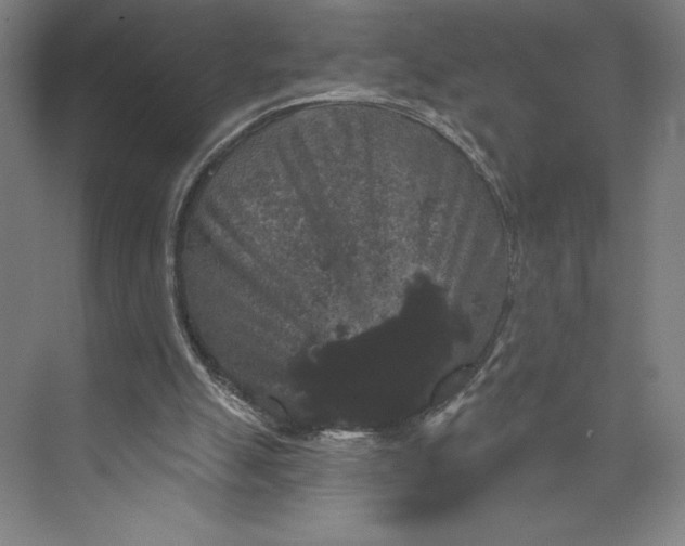 X0000074010055200609061100