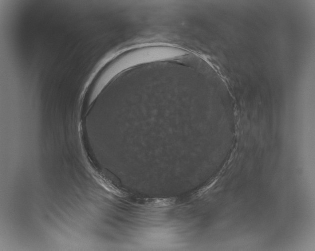 X0000074010056200609061100