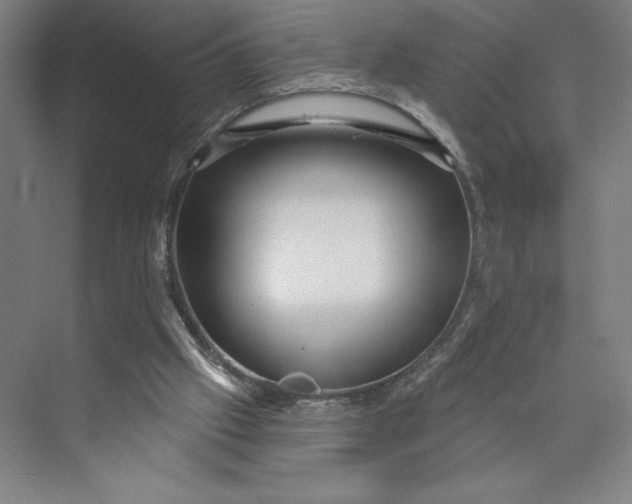 X0000074010057200609061100