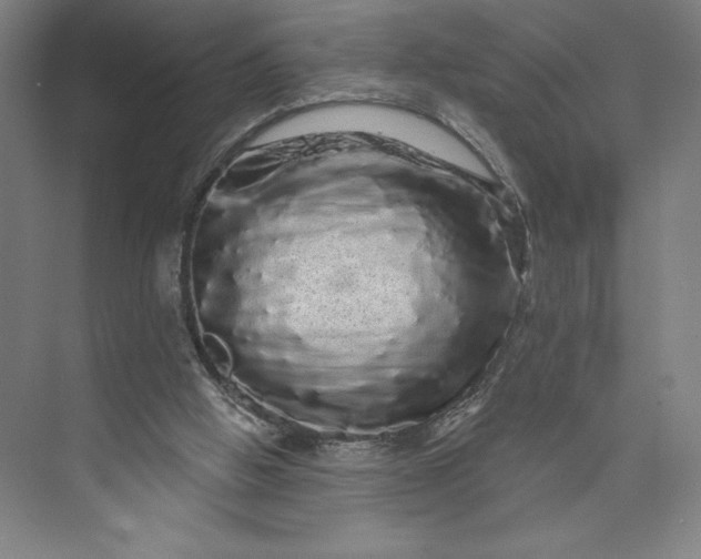 X0000074010058200609061100