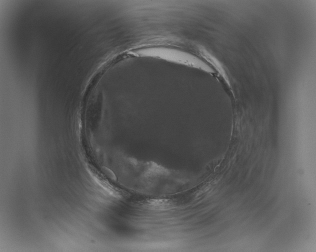 X0000074010059200609061100