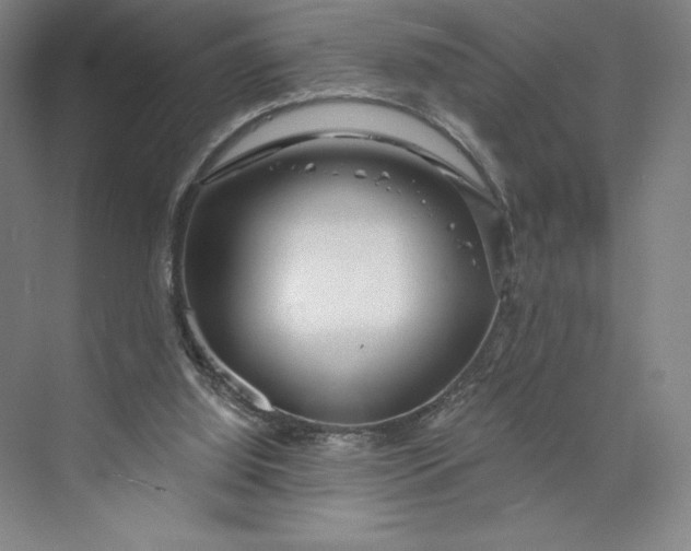 X0000074010060200609061100