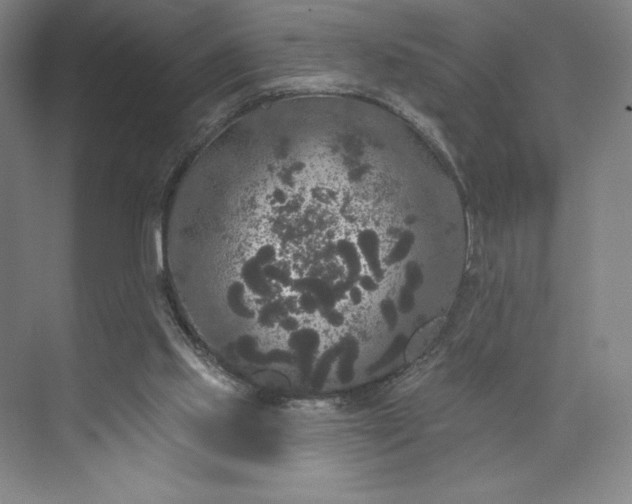 X0000074010061200609061100