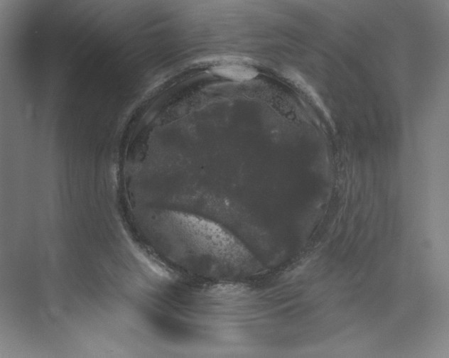 X0000074010063200609061100