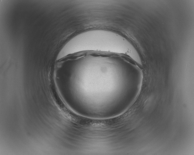 X0000074010066200609061100