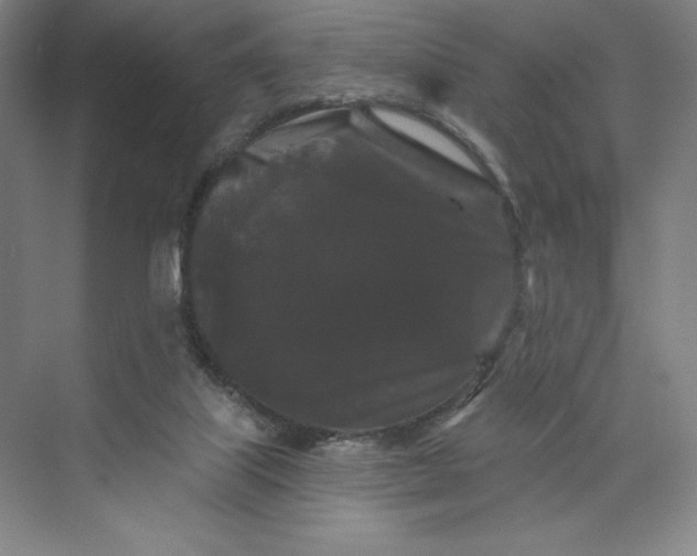 X0000074010067200609061100