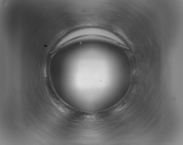 X0000074010068200609061100