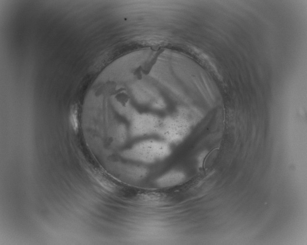 X0000074010069200609061100