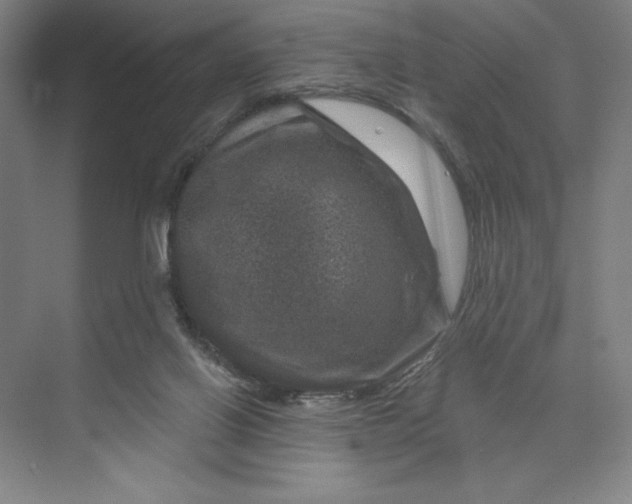 X0000074010070200609061100