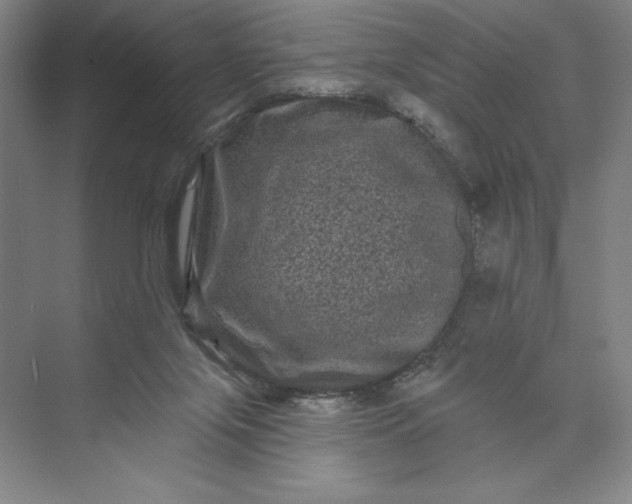 X0000074010071200609061100