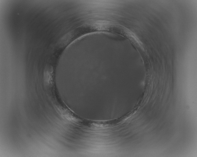 X0000074010073200609061100