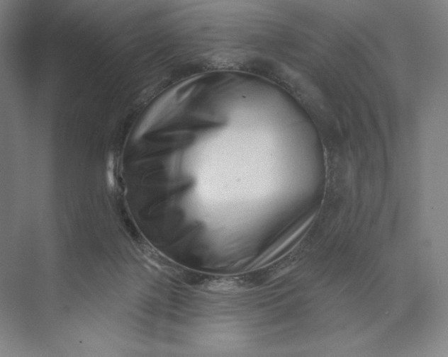 X0000074010075200609061100