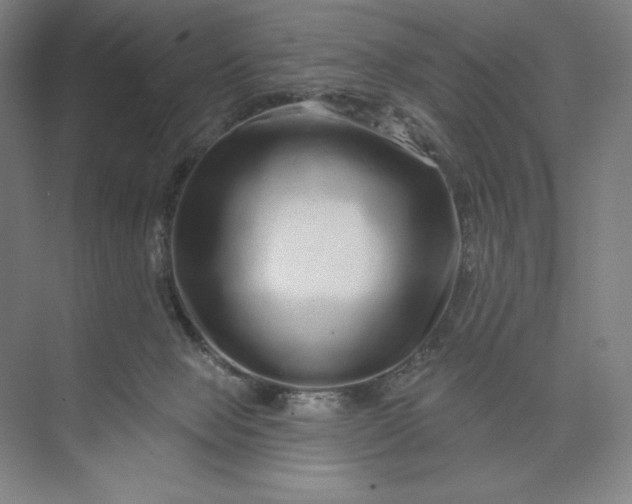 X0000074010077200609061100