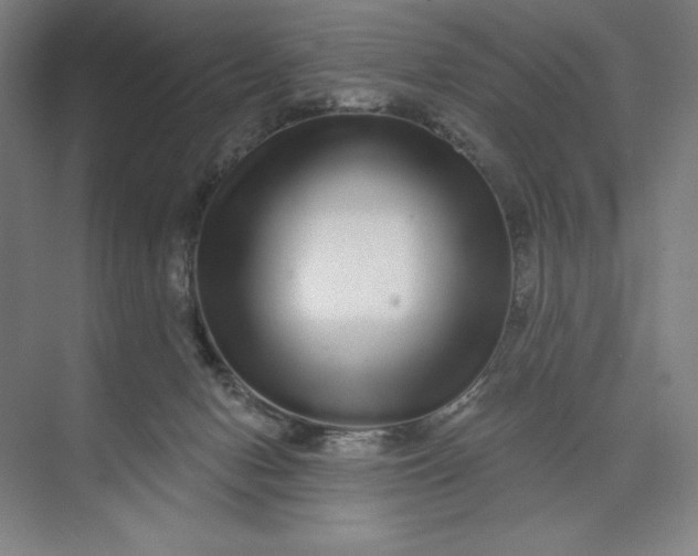 X0000074010078200609061100