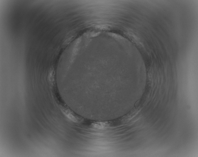 X0000074010079200609061100