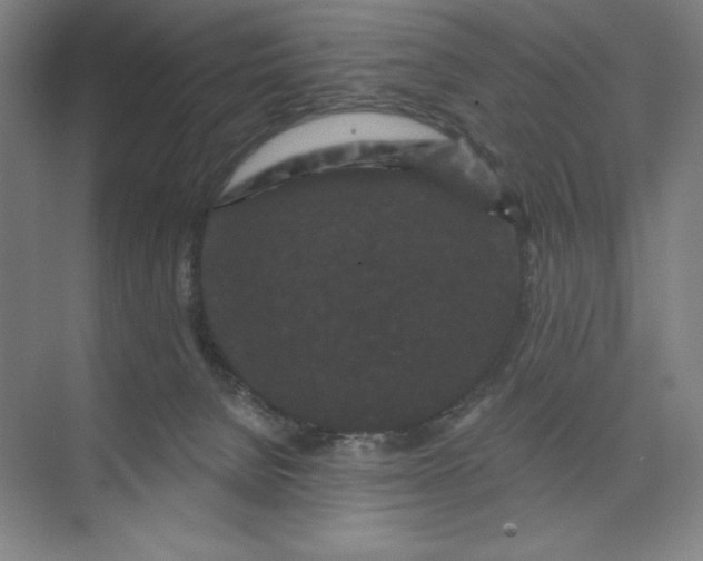 X0000074010080200609061100