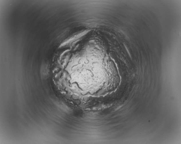 X0000074010081200609061100