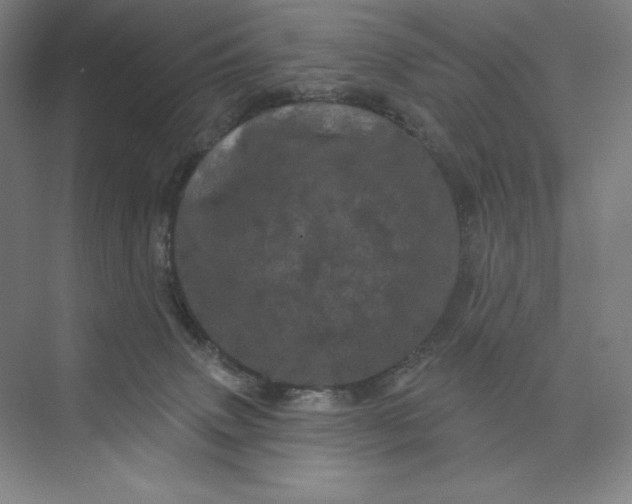 X0000074010083200609061100