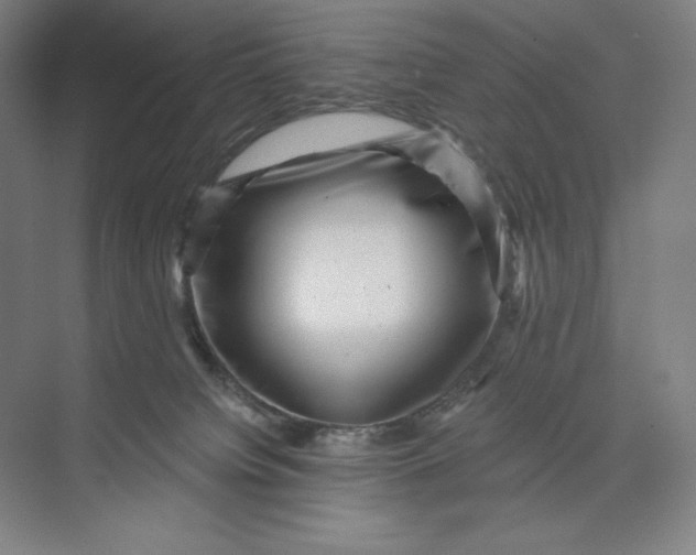 X0000074010084200609061100