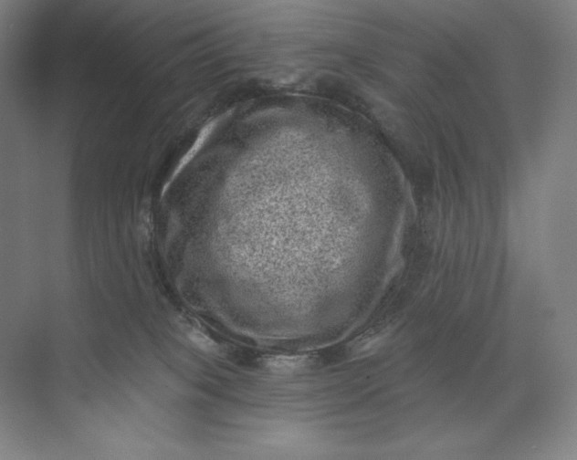 X0000074010085200609061100