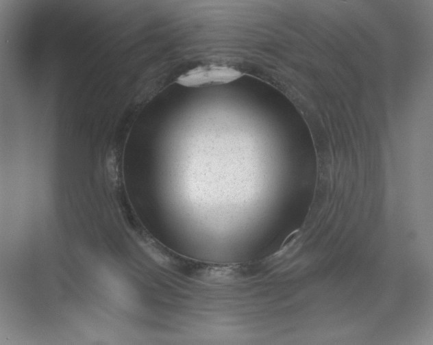 X0000074010086200609061100