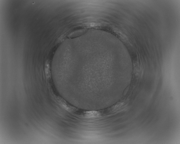 X0000074010087200609061100