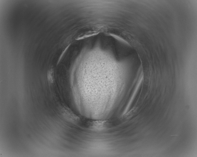 X0000074010090200609061101