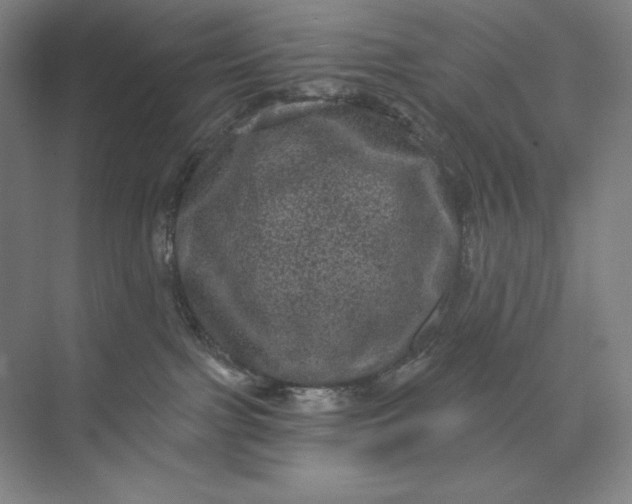 X0000074010091200609061101