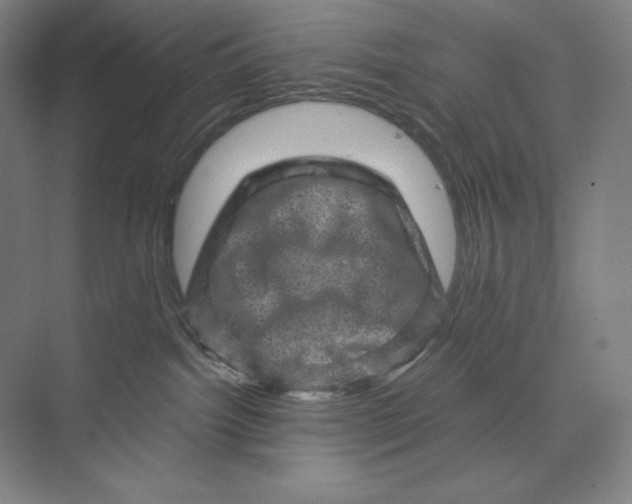 X0000074010092200609061101