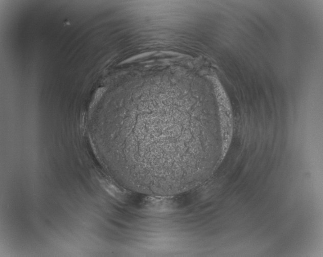 X0000074010093200609061101