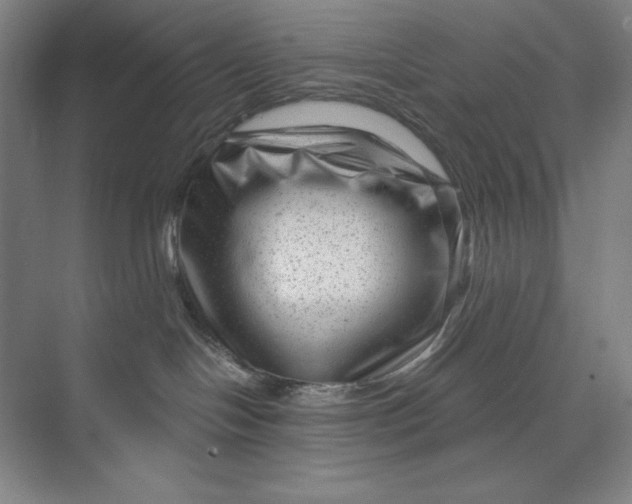 X0000074010094200609061101