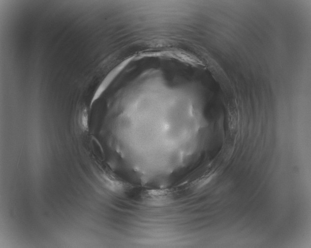 X0000074010095200609061101