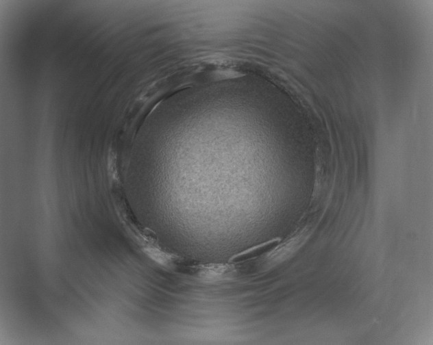 X0000074010096200609061101