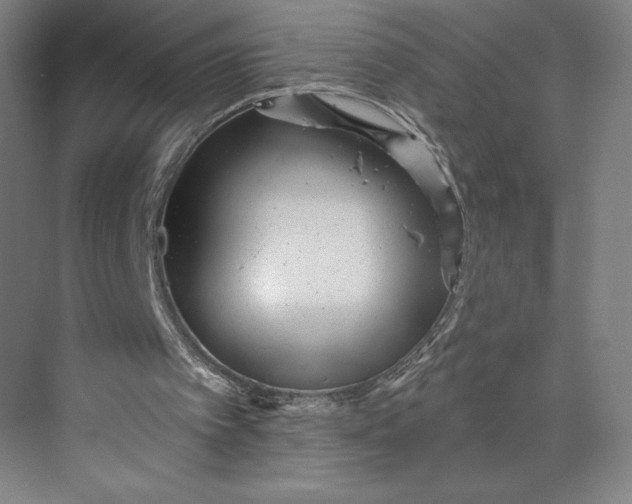 X0000074010097200609061100