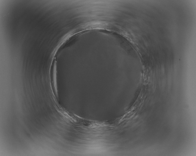 X0000074010099200609061100