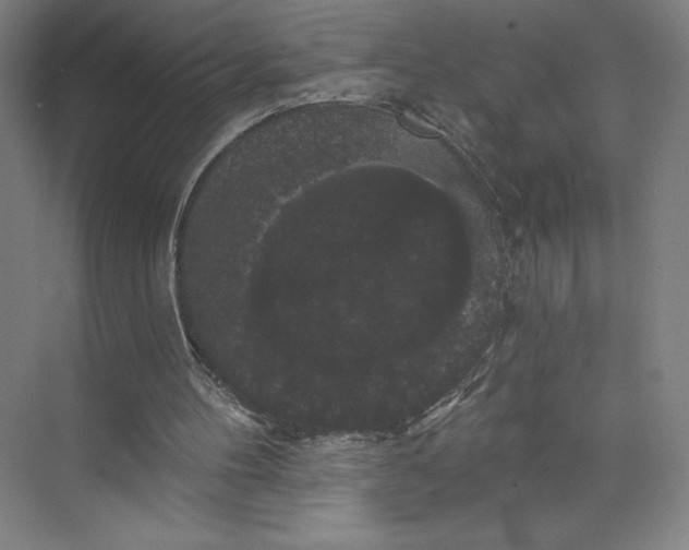 X0000074010100200609061100