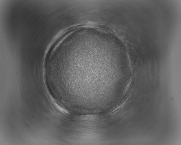 X0000074010102200609061100