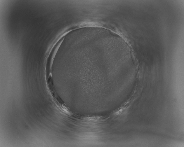 X0000074010103200609061100